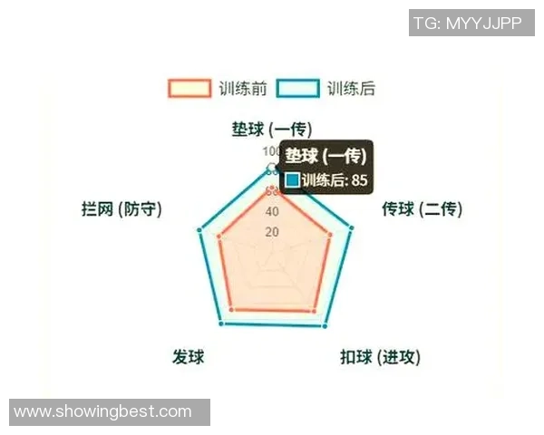 武汉排球队的比赛经验揭秘：从训练到赛场的全方位分析与分享